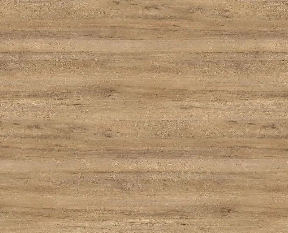 Pacific notelaar natuur - H3700 ST10