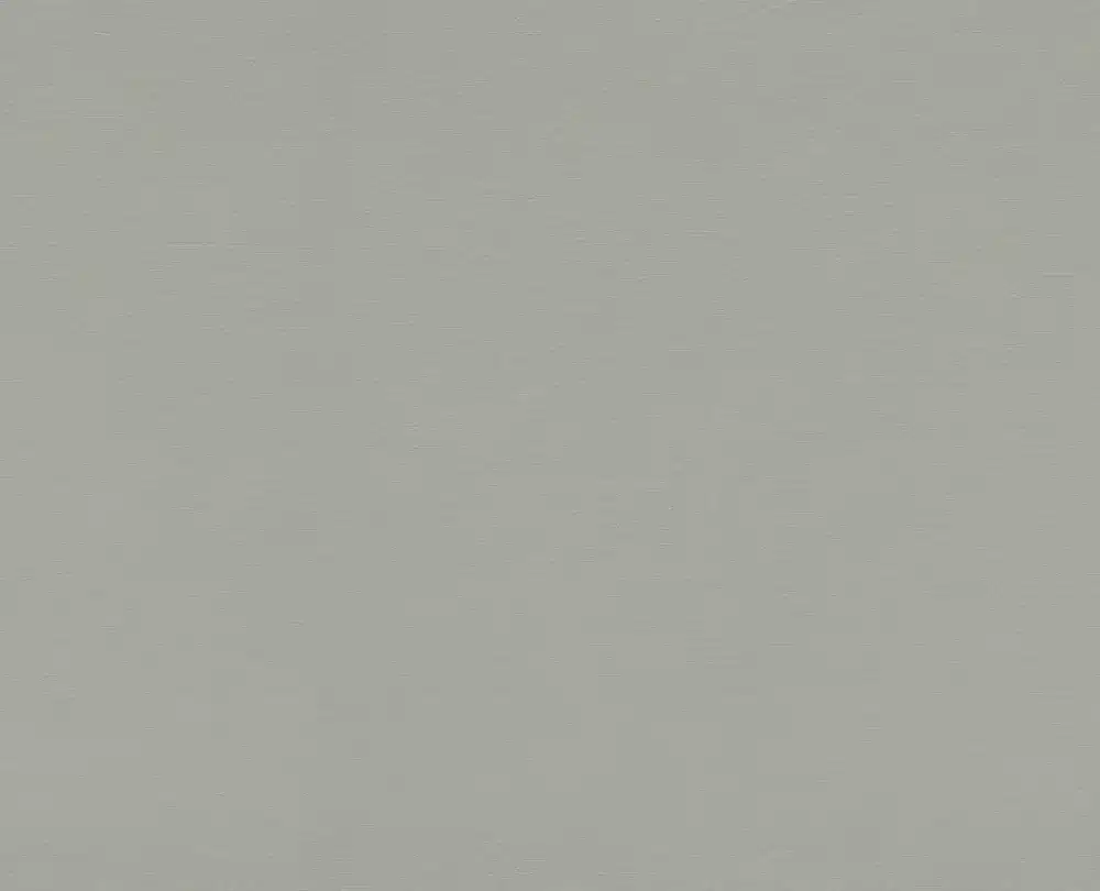 Zilvergrijs geborsteld - F765 ST20