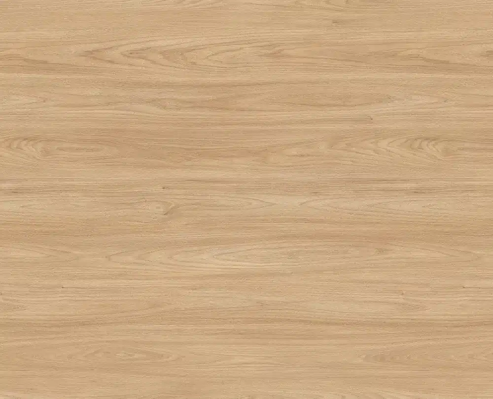 Sheffield Acacia natuur - H1242 ST10