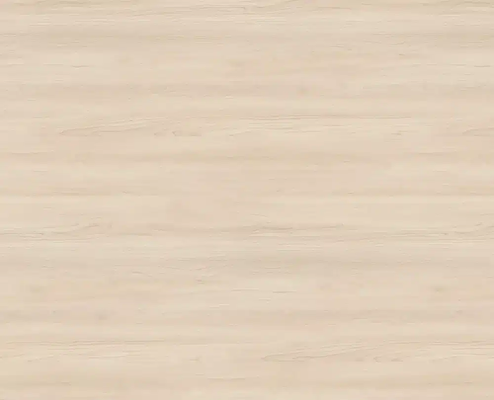 Amerikaanse esdoorn champagne - H3860 ST9