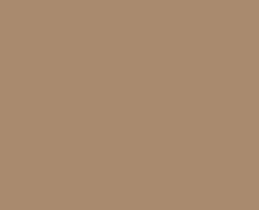 Karamel beige - U250 ST9